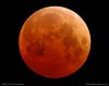 Super blue blood moon (Image: space.com)